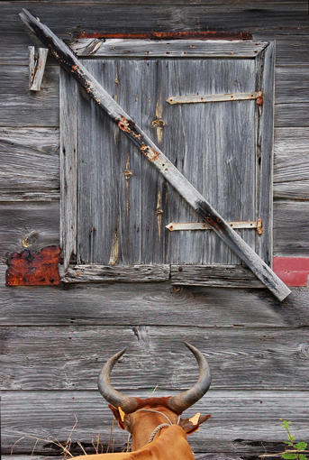 photo: bois planche: forme