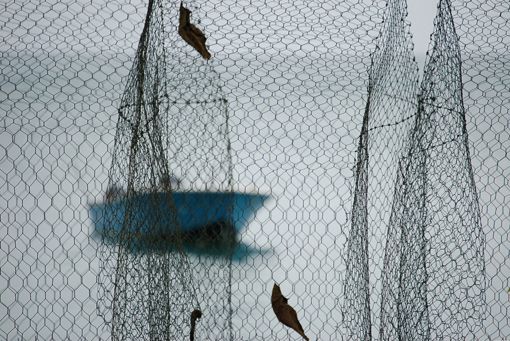 photo: peche planche: forme