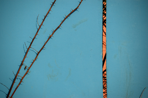 photo: meurtriere planche: wall-street