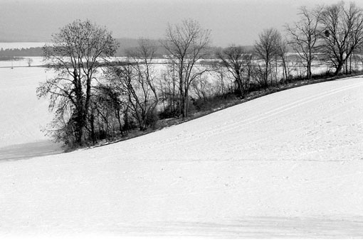 photo: chalon planche: bourgogne