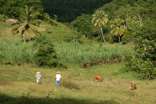 photo: rando planche: campagne