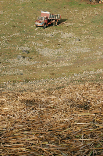 photo: decharge planche: campagne