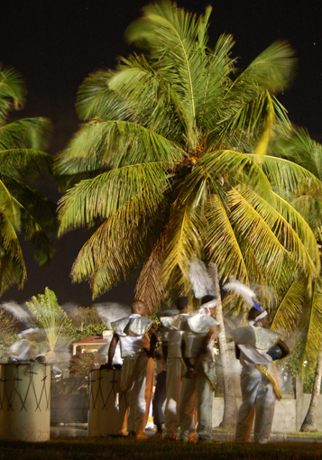 photo: deguise planche: cocotier