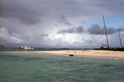 photo: echoue planche: rivage guadeloupe