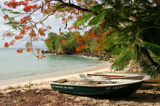 photo: souffle-de planche: rivage
