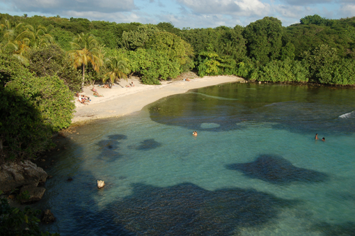 photo: anse-patate planche: rivage
