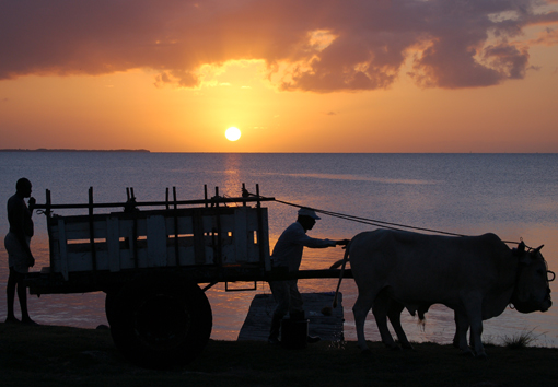 photo: vieux-fort planche: moun-la