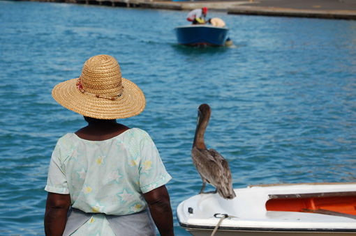 photo: marins planche: pointe-a-pitre